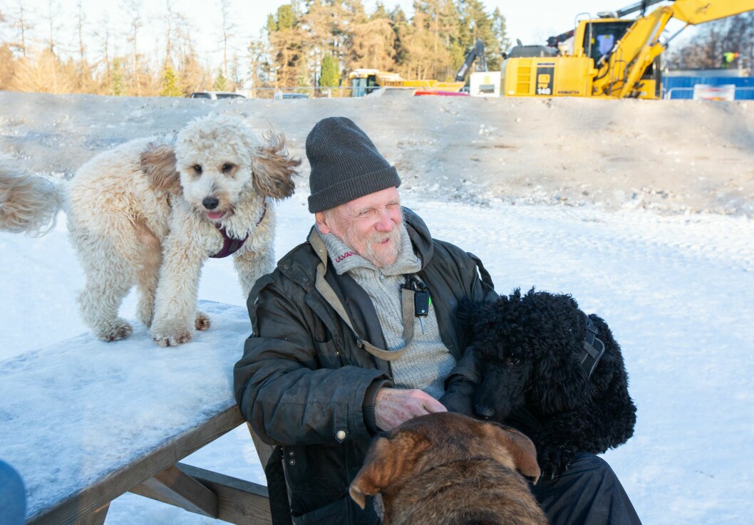 Arne Jørvåg er hundejordets mest omsvermede mann. Hundene elsker mannen på benken. Han har nemlig godbiter med seg.