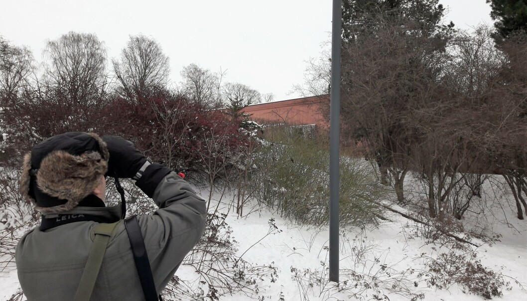 Med falkeblikk og hørsel som en ungrev var det ikke mange fugler som unngikk Håkan Billings oppmerksomhet Med falkeblikk og hørsel som en ungrev var det ikke mange fugler som unngikk Håkan Billings oppmerksomhet