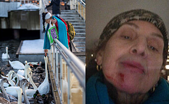 Nora (64) matet svaner i Bjørvika. Plutselig angrep en dame henne med klør og knyttneve