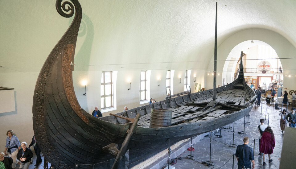 Vikingskipsmuseet skal utvides til det nye vikingtidsmuseet, som blir tre ganger så stort. Her er Osebergskipet, som ble bygget på 800-tallet.