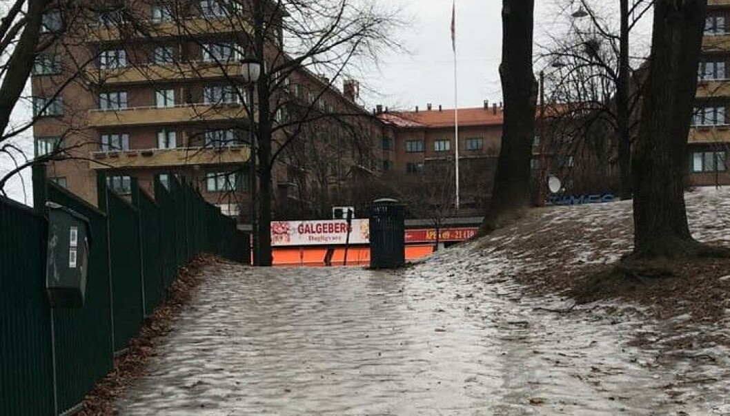 Parken ved Galgeberg nå: — Hvorfor har det ikke blitt strødd enda, spør fotografen. Parken ved Galgeberg nå: — Hvorfor har det ikke blitt strødd enda, spør fotografen.