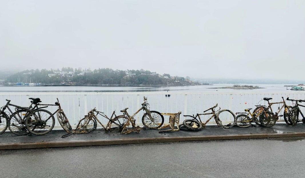 Det er neppe sykkelfrelst sjøliv som står for den store mengden sykler som lå på fjorbunnen ved Malmøybroa.