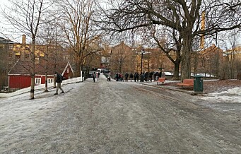 - Krevende å få strødd i alle Oslos gater og gangveier til enhver tid, sier miljøbyråden om holkeføret