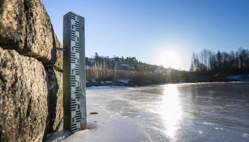 Maridalsvannet nord i Oslo fredag formiddag. Oslo kommune ber nå innbyggerne spare på vannet for å unngå vannmangel. Lite nedbør over lang tid og nedtapping for rehabilitering har ført til mindre vann i Oslos vannforsyningsområder. Foto: Håkon Mosvold Larsen / NTB Maridalsvannet nord i Oslo fredag formiddag. Oslo kommune ber nå innbyggerne spare på vannet for å unngå vannmangel. Lite nedbør over lang tid og nedtapping for rehabilitering har ført til mindre vann i Oslos vannforsyningsområder. Foto: Håkon Mosvold Larsen / NTB