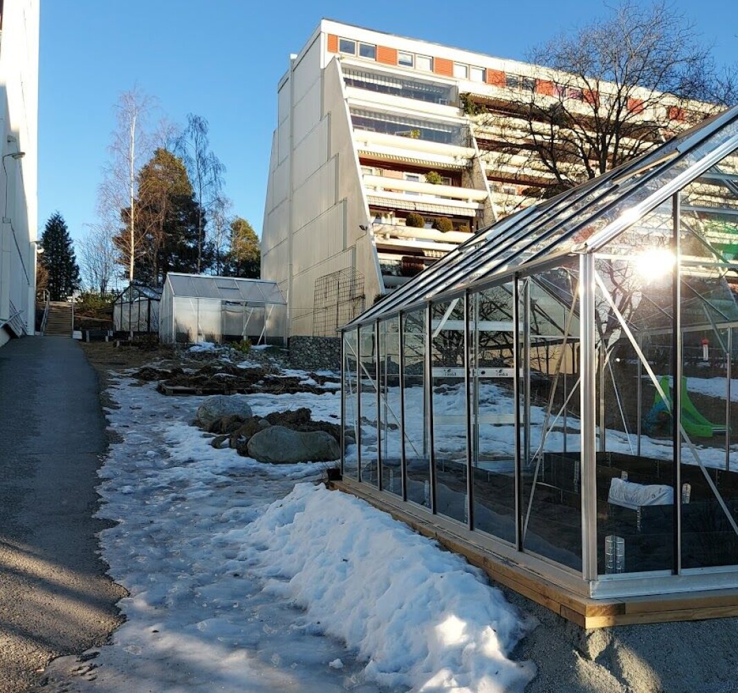 Mellom høyblokkene på Tokerudåsen står det drivhus og små hageflekker hvor naboene sammen kan dyrke grønnsaker og skape trivsel. Mellom høyblokkene på Tokerudåsen står det drivhus og små hageflekker hvor naboene sammen kan dyrke grønnsaker og skape trivsel.