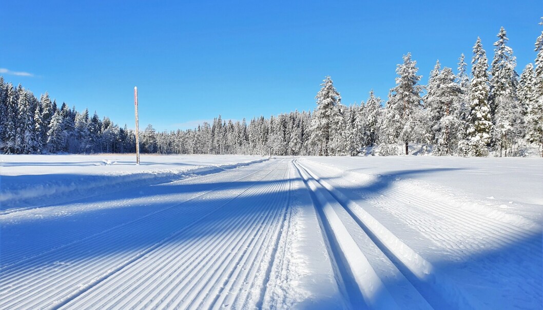 Slik så mange av løypene ut innover mange steder i Marka lørdag morgen. Slik så mange av løypene ut innover mange steder i Marka lørdag morgen.