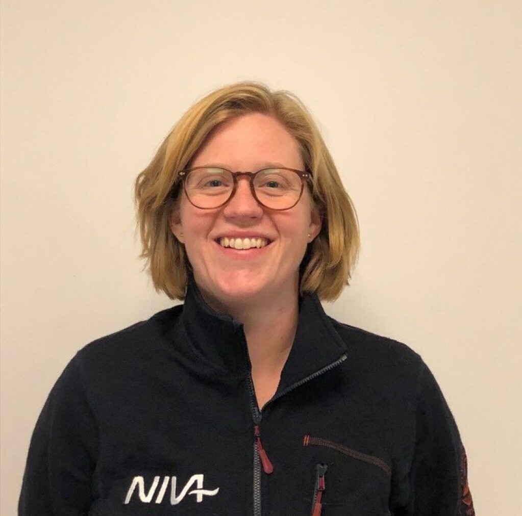 Elisabeth Rødland er forsker i Norsk institutt for vannforskning og står bak den nye studien. Elisabeth Rødland er forsker i Norsk institutt for vannforskning og står bak den nye studien.