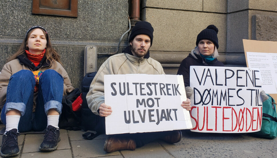 Sidney Haugen (i midten) og Anne Bjørg Halse Lervik er sultestreiker mot ulvejakten. Her holder de opp hvert sitt skilt i protest mot regjeringas ulvepolitikk.
