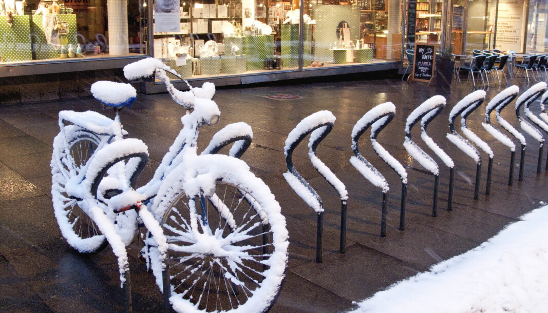 For mange varer sykkelsesongen hele året, og det gjelder også for sykkeltyver. Aldri før har det blitt stjålet så mange sykler om vinteren.