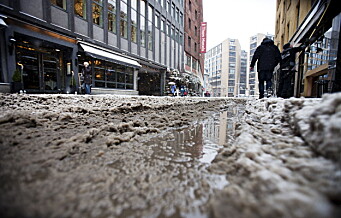 Våt og mild februar i Oslo og på Østlandet