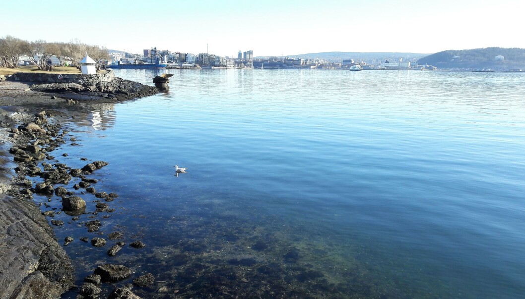 Her er deler av Fjordbyen sett fra Bygdøy. Tomteprisen langs fjorden har blitt så høy at fjorden selv kun er blitt redusert til en back drop for dyre leiligheter. Her er deler av Fjordbyen sett fra Bygdøy. Tomteprisen langs fjorden har blitt så høy at fjorden selv kun er blitt redusert til en back drop for dyre leiligheter.