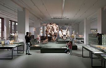 Naturhistorisk museum har pusset opp og åpner kjempeutstilling om jordas historie og livets utvikling