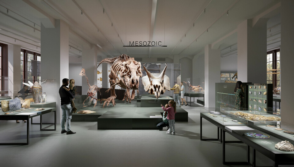 Naturhistorisk museum har pusset opp og fremstår i ny prakt fra 5. mai.
