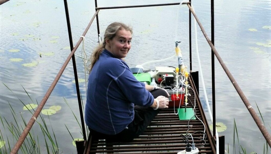 NMBU-professor Lindis Skipperud tar vannprøver fra Globoka-innsjøen rett ved kjernekraftverket i ukrainske Tsjernobyl.