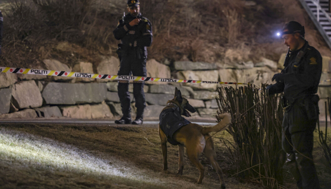 Politiet utelukker ikke at flere kan bli pågrepet i forbindelse med knivstikkingen. Politiet utelukker ikke at flere kan bli pågrepet i forbindelse med knivstikkingen.