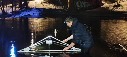 Badstuforening skrudde av lys da de fikk høre at fisk i Akerselva og Oslofjorden trues av lysforurensing