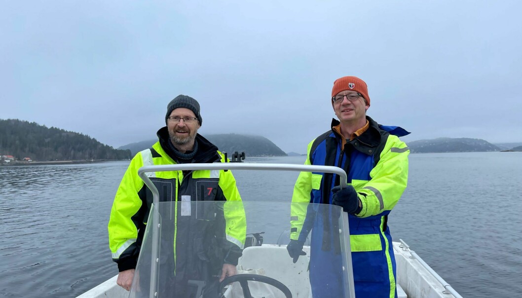 NMBU-professorene Thrond Oddvar Haugen og Knut Rudi er ute med båt på Oslofjorden for å undersøke torsk og mikroorganismer.
