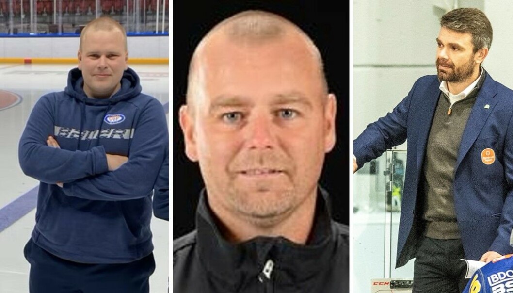 U20-trener Simon Stolt Wang (t.v), tidligere Vålerenga-spiller Niklas Gällstedt og Storrhamar-trener Anders Gjøse er favorittene blant fansen til å bli ny hovedtrener for Vålerenga hockey. U20-trener Simon Stolt Wang (t.v), tidligere Vålerenga-spiller Niklas Gällstedt og Storrhamar-trener Anders Gjøse er favorittene blant fansen til å bli ny hovedtrener for Vålerenga hockey.