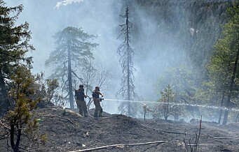 Brannvesenet har kontroll på skogbrann ved Tryvann