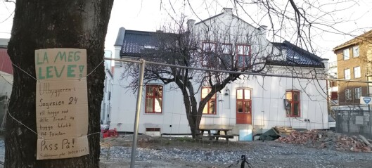 Kort prosess for utbygging i hage på Sagene: Det ble nei til nye boliger