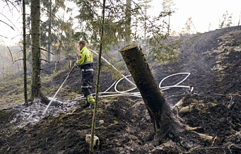 Knusktørt i Sør-Norge – brannvesenet i Oslo ber folk droppe engangsgrillen