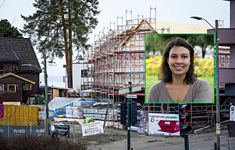 – Eplehagene er svært viktige for Oslo