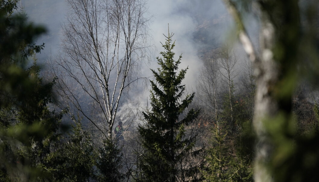 Brannvesenet advarer folk mot å bruke engangsgriller og å tenne bål i Oslomarka. Her fra en skogbrann ved Tryvann i Oslo 22. april.