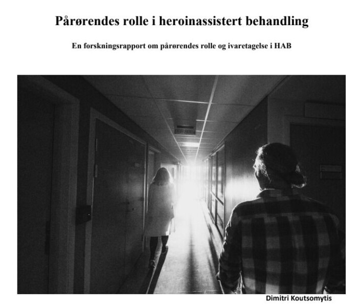 Skjermdump fra forsiden til Elises forskningsrapport. Skjermdump fra forsiden til Elises forskningsrapport.
