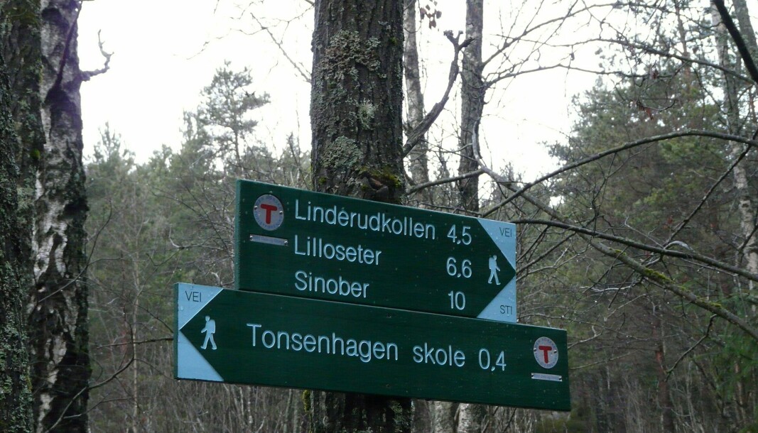 17. mai-turen til Sinober går både på blå og umerka stier. Tre turledere guider deg trygt gjennom skogen.