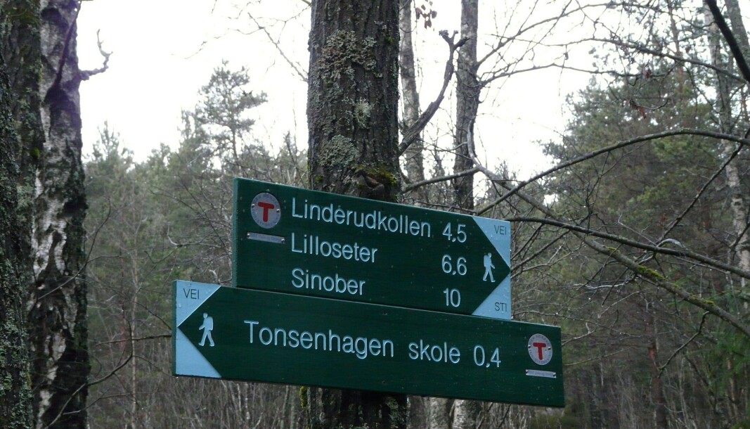 17. mai-turen til Sinober går både på blå og umerka stier. Tre turledere guider deg trygt gjennom skogen. 17. mai-turen til Sinober går både på blå og umerka stier. Tre turledere guider deg trygt gjennom skogen.