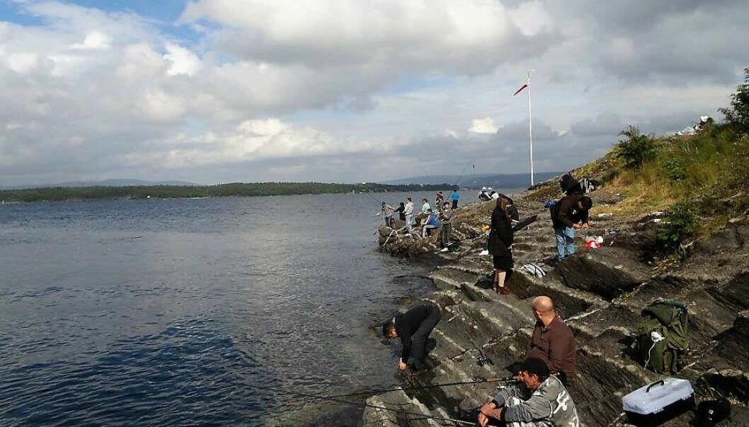 Oslofjorden er rekreasjonsområde for hundretusenvis av mennesker. Her er makrellfiskere på Fornebulandet.