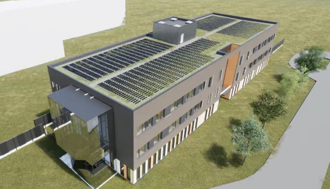 Det grønne taket på Løren skole kan fremdeles gro videre til tross for at taket er fullt av solcellepaneler. Det er mulig med ny solcelleteknologi fra et norsk firma. Det grønne taket på Løren skole kan fremdeles gro videre til tross for at taket er fullt av solcellepaneler. Det er mulig med ny solcelleteknologi fra et norsk firma.