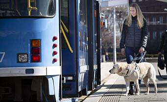 Oslos 50 førerhunder slipper båndtvang. — Det er viktig for hundene våre å kunne utfolde seg fritt