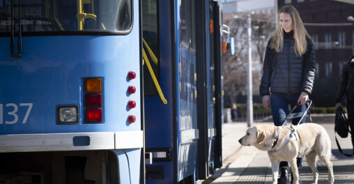 Oslos 50 førerhunder slipper båndtvang. — Det er viktig for hundene våre å kunne utfolde seg fritt