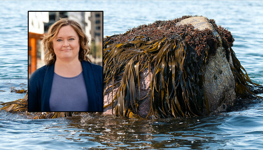 – Vi fortjener en ren fjord som alle kan bade i og fiske av, sier Anne Haabeth Rygg.