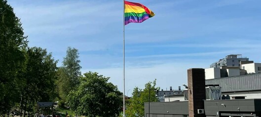 Bøler skole har fått to pride-flagg ødelagt. – Vi gir oss ikke