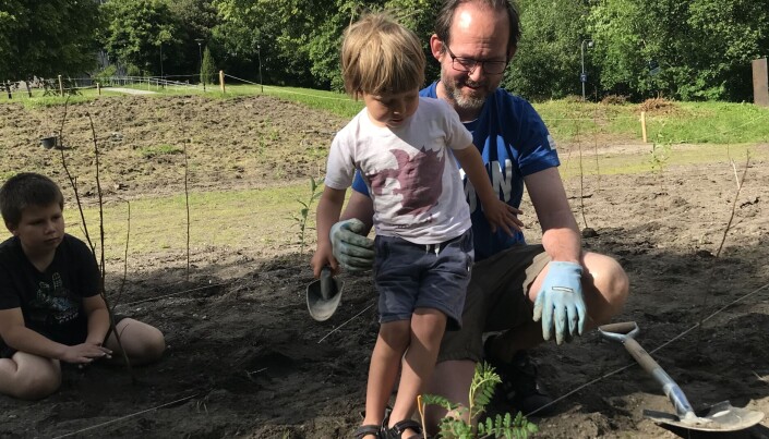 Treplantingen appellerte både til små og store. Treplantingen appellerte både til små og store.