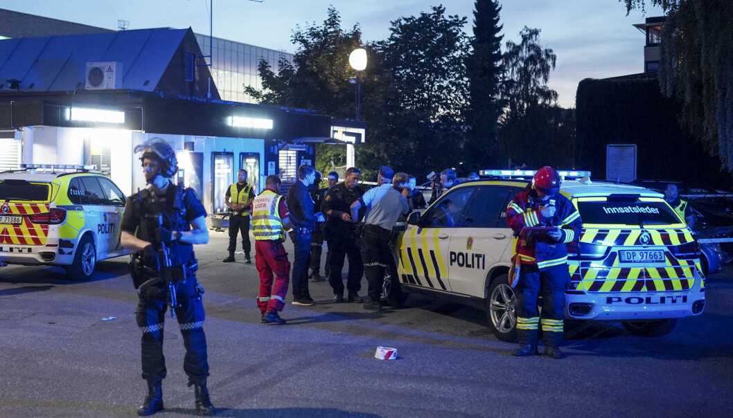 Oslo tingrett skriver i dommen mot den 23 år gamle mannen at skytingen ved Brynseng var gjengrelatert. Oslo tingrett skriver i dommen mot den 23 år gamle mannen at skytingen ved Brynseng var gjengrelatert.