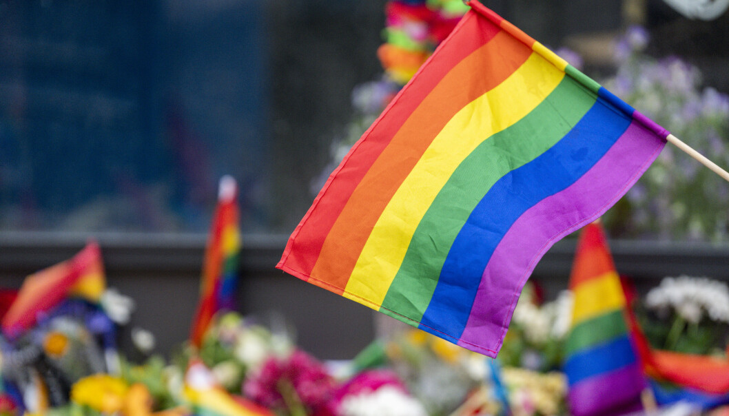 Politiet mener det har oppstått misforståelser rundt hva politiet faktisk har gjort med koranbrenning og prideflaggbrenning. Foto: Beate Oma Dahle / NTB Politiet mener det har oppstått misforståelser rundt hva politiet faktisk har gjort med koranbrenning og prideflaggbrenning. Foto: Beate Oma Dahle / NTB