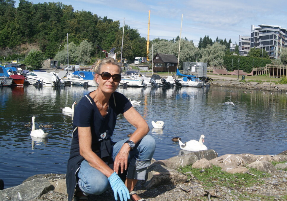 Lena W. Nystrøm er frivillig i Svanehjelpen, en organisasjon som pleier og hjelper svaner i nød. Også brungås og hvitkinngås på listen over pasienter.