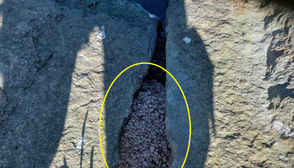 I dette hullet satte en kvinand seg fast tidligere i sommer. Den kom seg ikke løs Nå er bymiljøetaten i gang med å tette sprekkene mellom steinhellene i Frognerdammen.
