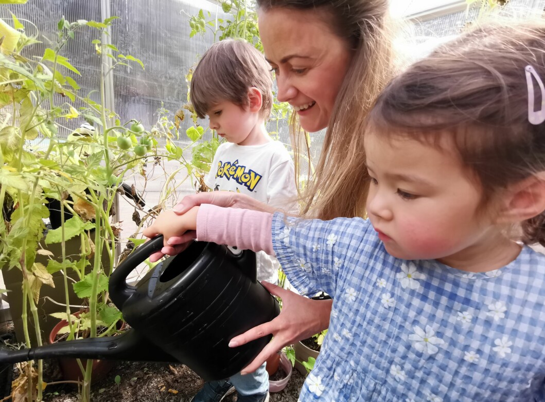 Frans (3) og Hedvig (2) vanner tomatene i veksthuset til Hasselhaugen barnehage med litt hjelp fra pedagogisk leder Joanna Szuta (38).