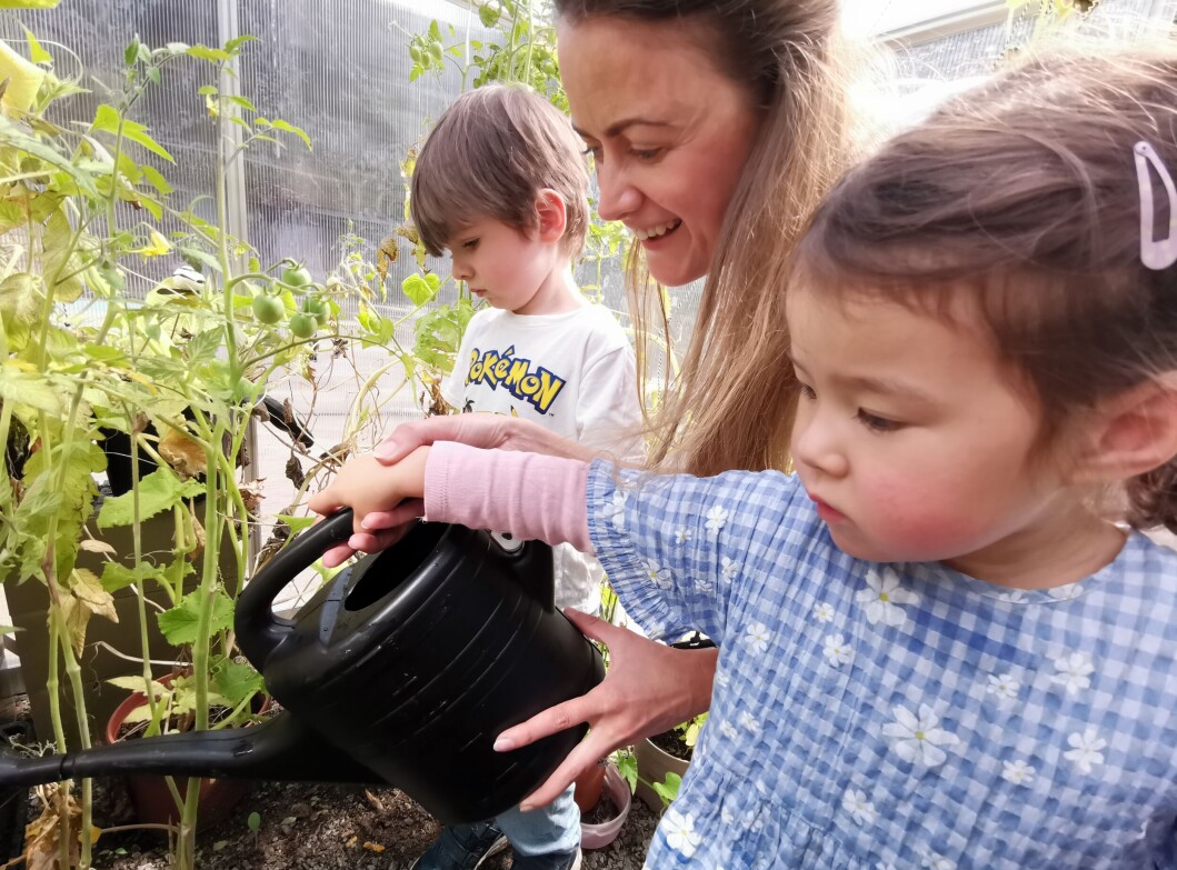 Frans (3) og Hedvig (2) vanner tomatene i veksthuset til Hasselhaugen barnehage med litt hjelp fra pedagogisk leder Joanna Szuta (38). Frans (3) og Hedvig (2) vanner tomatene i veksthuset til Hasselhaugen barnehage med litt hjelp fra pedagogisk leder Joanna Szuta (38).