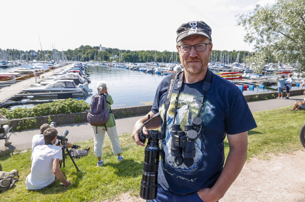 Rune Aae er doktorgradsstipendiat og har fulgt spesielt med på hvalrossen Freya over lang tid. Her fra Frognerkilen i Oslo, hvor Freya tilbrakte mye tid i juli. Rune Aae er doktorgradsstipendiat og har fulgt spesielt med på hvalrossen Freya over lang tid. Her fra Frognerkilen i Oslo, hvor Freya tilbrakte mye tid i juli.