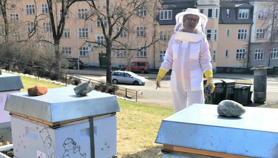 Leder i Torshov Birøkterlag Randi Grydeland sier det er mange som driver med bier i byen. Jobben deres er å spre kunnskap om birøking å sikre det biologiske mangfoldet.