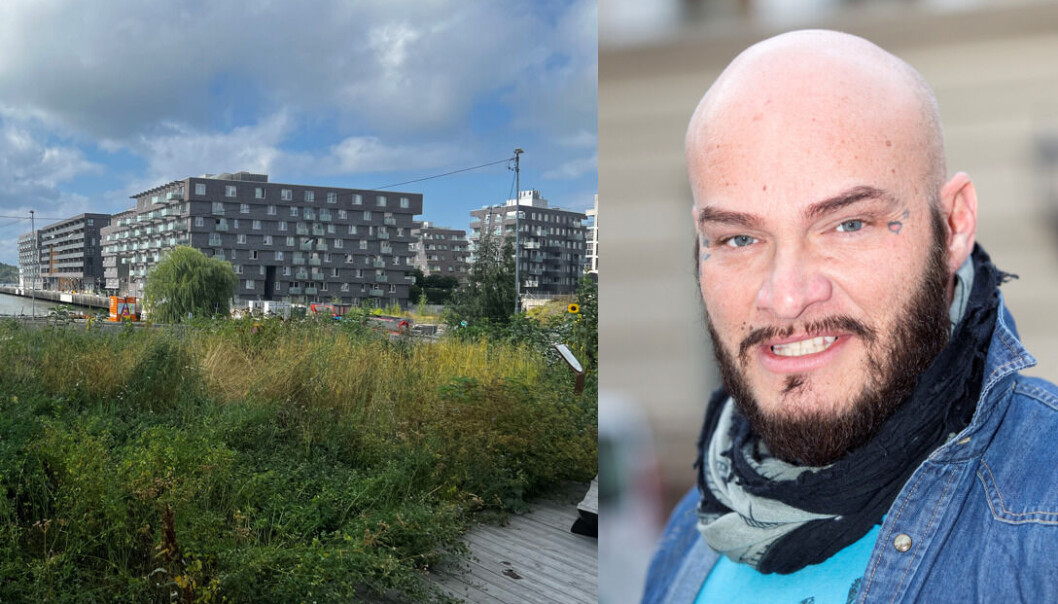 Her på Losæter skal det på søndag være en festival for utsatte ungdom og kulturinteresserte. Her på Losæter skal det på søndag være en festival for utsatte ungdom og kulturinteresserte.