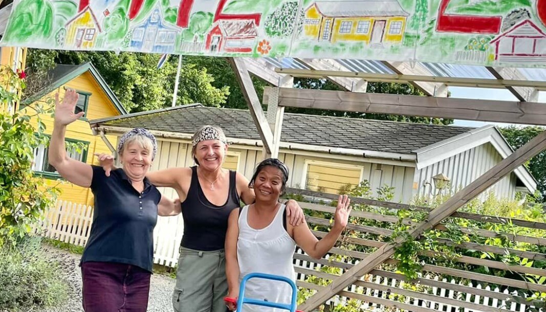 Kolonistene ved Hjemmets kolonihager på Bjølsen har unnagjort siste forberedelser. Nå er de klare til å ønske velkommen til en hagefest bestående av noe for alle og enhver. Kolonistene ved Hjemmets kolonihager på Bjølsen har unnagjort siste forberedelser. Nå er de klare til å ønske velkommen til en hagefest bestående av noe for alle og enhver.
