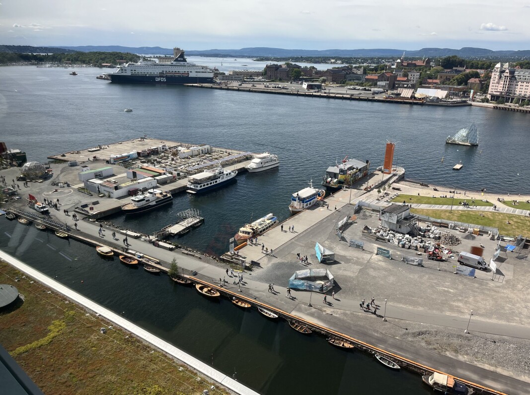 En skamplett for byen, mener Høyres gruppeleder i bystyret, Anne Haabeth Rygg. En skamplett for byen, mener Høyres gruppeleder i bystyret, Anne Haabeth Rygg.