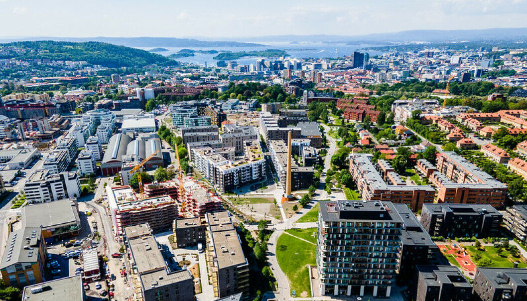 Deler av utbyggingen på Ensjø er ferdigstilt, her blant annet Tiedemannsparken og vestre parkdrag, med fjorden i bakgrunnen. Deler av utbyggingen på Ensjø er ferdigstilt, her blant annet Tiedemannsparken og vestre parkdrag, med fjorden i bakgrunnen.