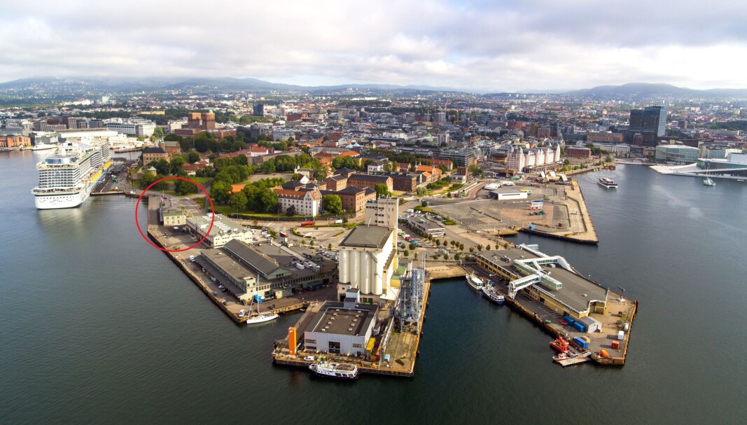 Skur 38, til venstre i bildet, er nymalt i gult og grønt i tråd med farger fra ca. 1950. Skur 38 passer godt inn blant den øvrige bebyggelsen på Vippetangen. Skur 38, til venstre i bildet, er nymalt i gult og grønt i tråd med farger fra ca. 1950. Skur 38 passer godt inn blant den øvrige bebyggelsen på Vippetangen.